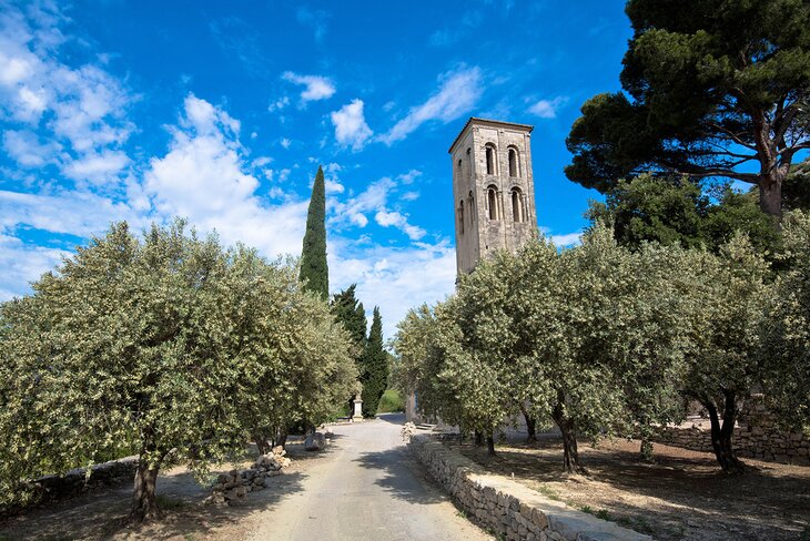 Beaumes-de-Venecia 20 Mejores lugares para visitar en Haut-Vaucluse, Provenza