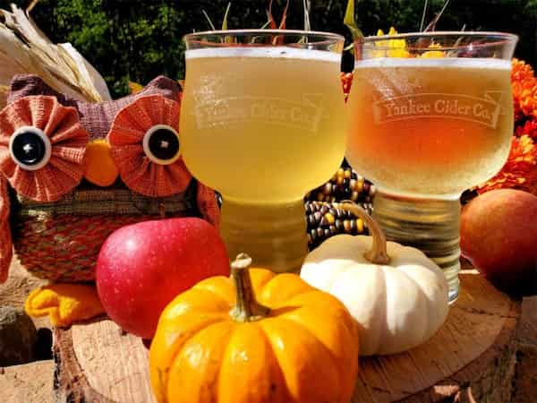 Beba-un-poco-de-cerveza-en-una-sidreria-1 10 Imperdibles actividades para disfrutar en Connecticut durante el Otoño