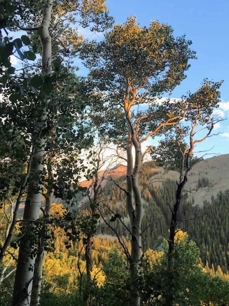 Bosque-Nacional-La-Sal 5 Lugares para Acampar Gratis cerca de Moab, Utah