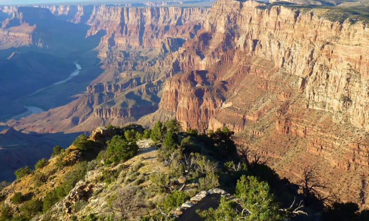 Bosque-petrificado Espectaculares Viajes de fin de semana en Phoenix