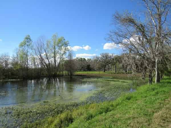 Brazos-Bend-State-Park-acampar-cerca-de-Houston 10 Espectaculares sitios para acampar cerca de Houston, Texas