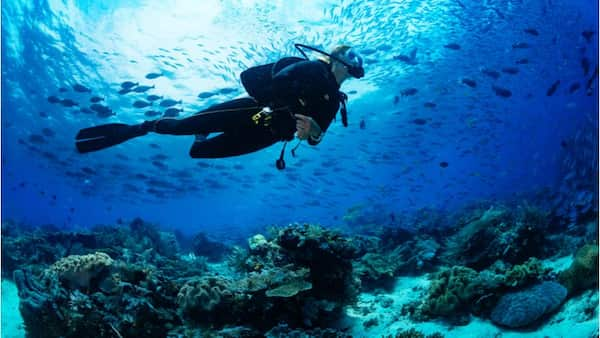 Buceo Conozca los Mejores Deportes Acuáticos en Qatar