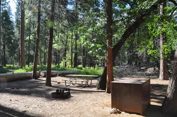 Campamento-Pines-Camping-en-Medicine-Bow-Routt-y-Thunder-Basin Camping en Medicine Bow-Routt y Thunder Basin