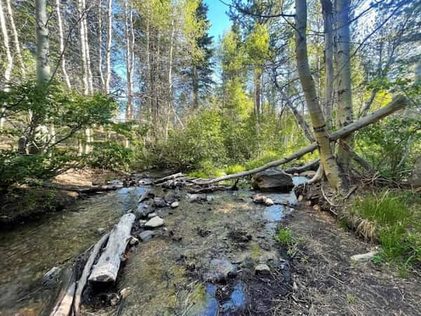 Campamento-de-Sherwin-Creek 7 Lugares para Acampar en Mammoth Lakes, California