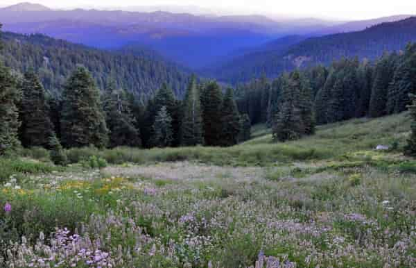 Campamento-del-monte-Ashland 9 Lugares para Acampar Gratis en Oregon