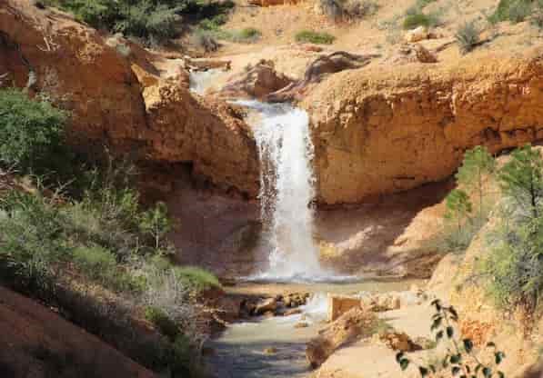 Cascada-de-la-cueva-cubierta-de-musgo-Caminatas-en-cascadas-de-Utah 15 Refrescantes Cascadas en Utah