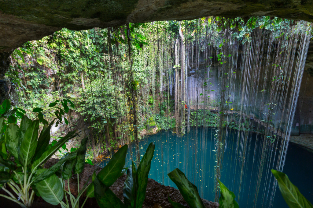 Cenote-Ik-Kil-1024x683 Cenotes en México: una aventura ideal para toda la familia