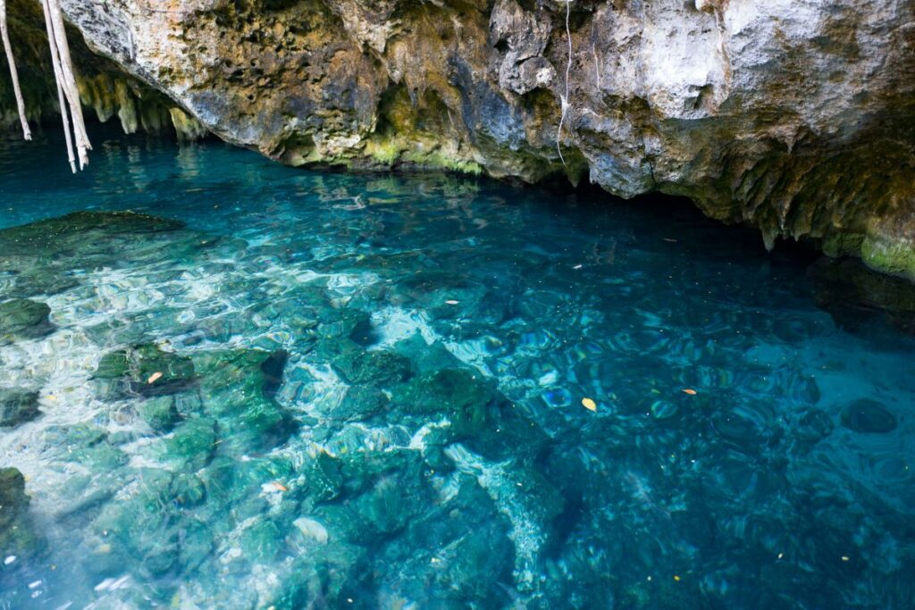 Cenote-Taj-Mahal-1024x683 Cenotes en México: una aventura ideal para toda la familia