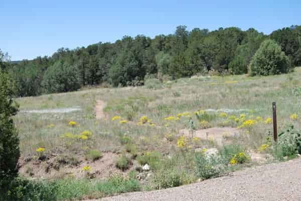 Circuito-de-senderos-este-y-oeste-de-Sabino-Canyon-1 9 Caminatas Cerca de Albuquerque, Nuevo México