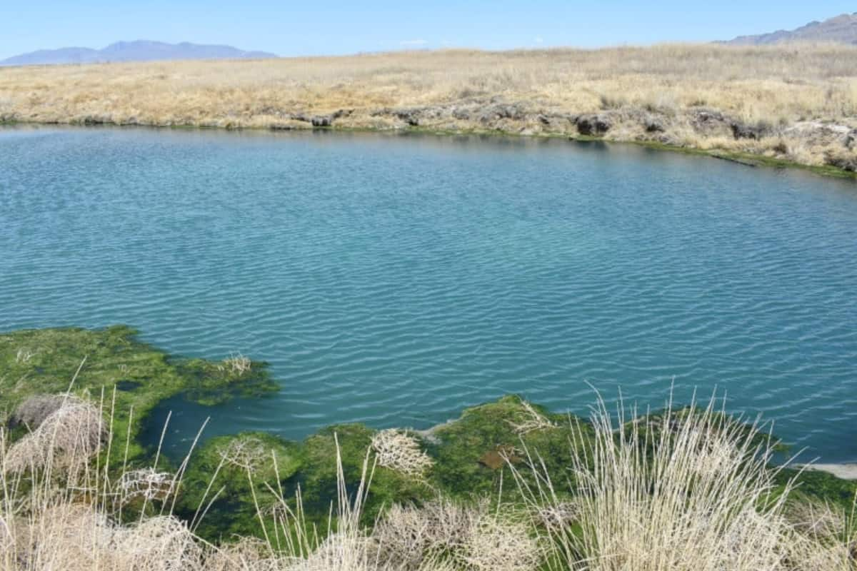 Conoce 6 Refrescantes Aguas Termales Naturales de Utah