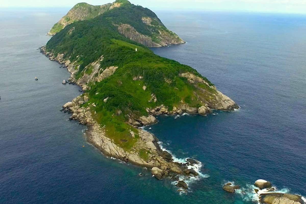 Conozca la Isla de las Serpientes en Sao Paulo el Lugar Prohibido de Brasil