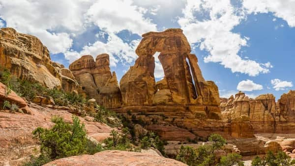 Druid-Arch-Trail 15 Espectaculares Caminatas cerca de Moab