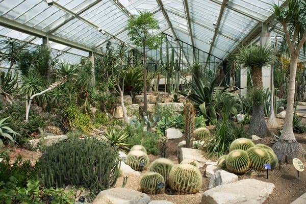 El-Conservatorio-Princesa-de-Gales 8 Cosas imperdibles en los Kew Gardens de Londres