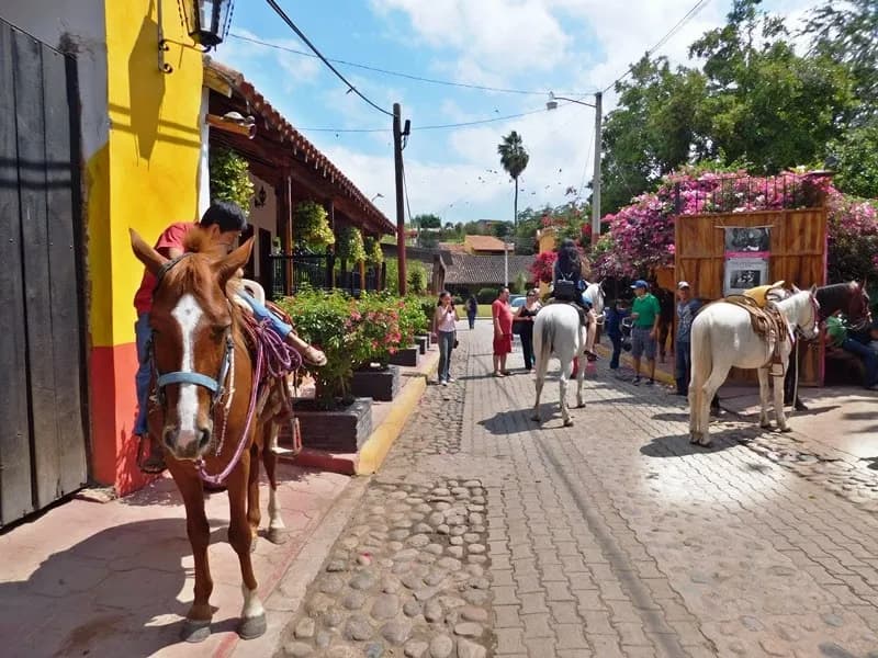 El-Quelite-Mazatlan-caballos Actividades para hacer en un día en El Quelite Mazatlán, México