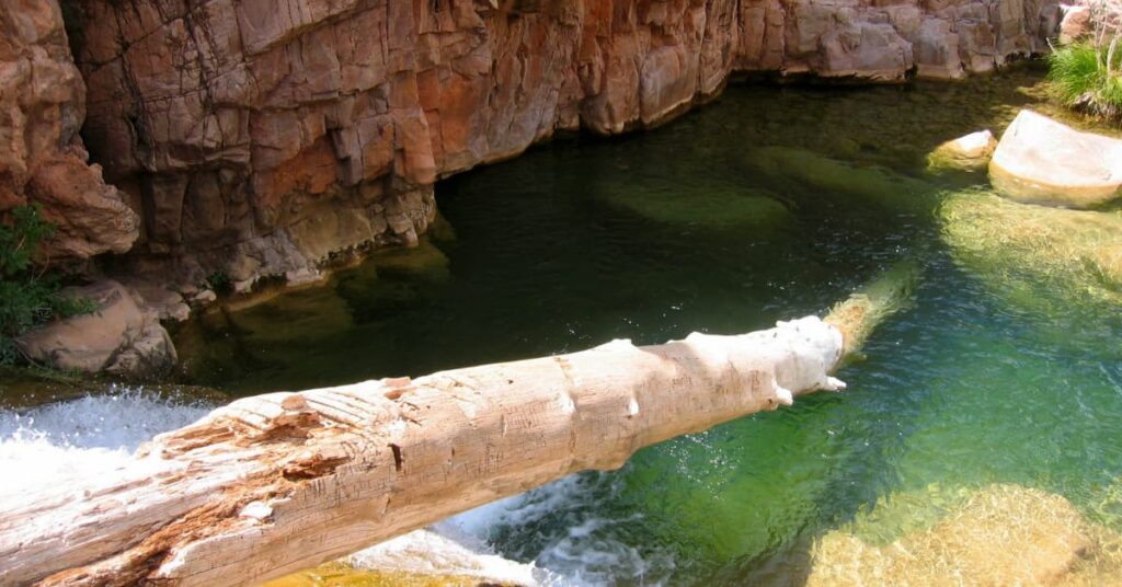 Ellison-Creek-1024x536 Los mejores pozos de Arizona para disfrutar este verano