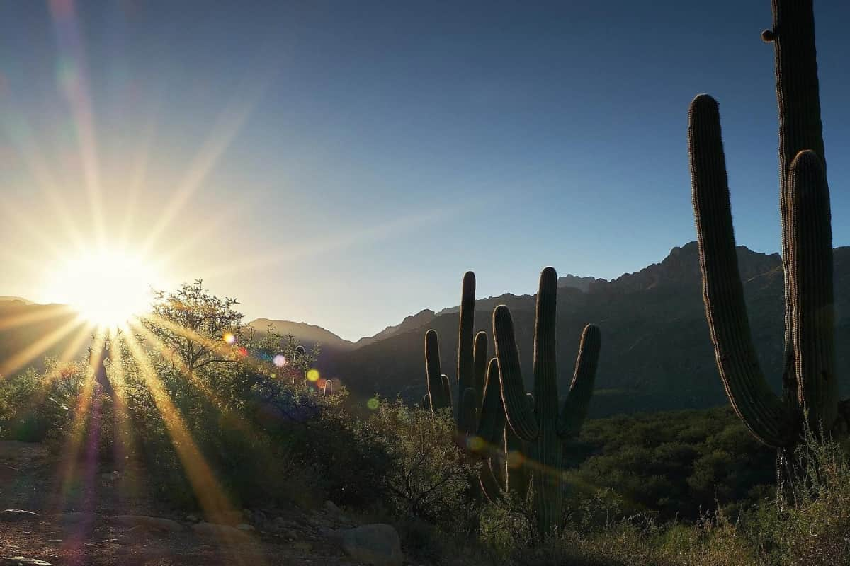 Experiencias más destacadas en Oro Valley