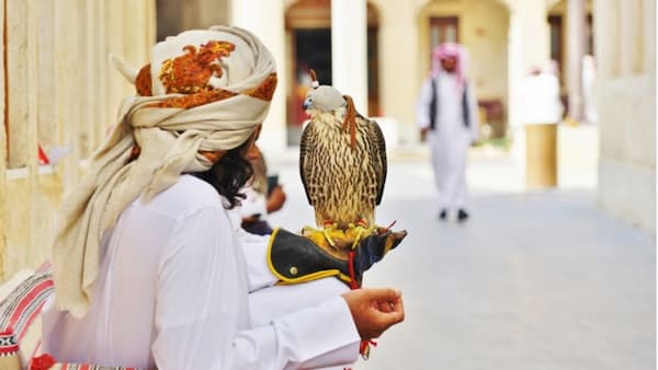 Experimenta-el-antiguo-deporte-de-la-cetreria Souq Waqif Doha: Un Lugar para las Compras en Qatar