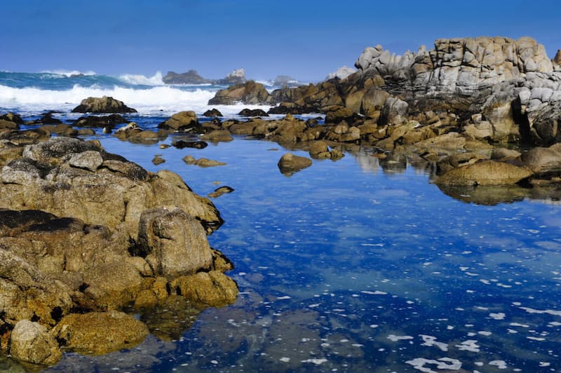 Explora-las-pozas-de-marea-1 9 Cosas para hacer un fin de semana en Pacific Grove, California