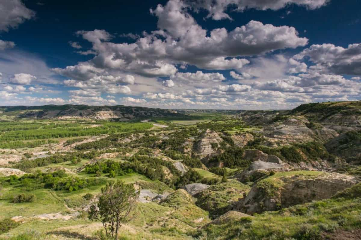 Fantásticos Bosques Nacionales en Colorado