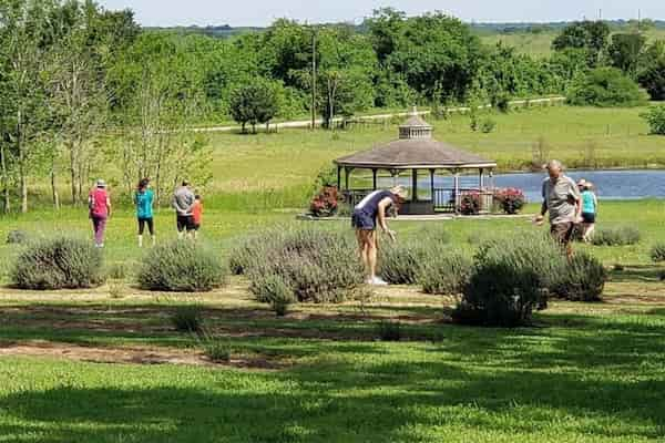 Granja-de-lavanda-de-Chappell-Hill Paradas recomendadas si viajas por carretera de Houston a Austin