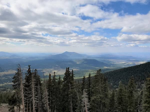 Haga-un-recorrido-por-el-follaje-de-otono 13 Cosas para Hacer en Flagstaff, Arizona en cada Estación