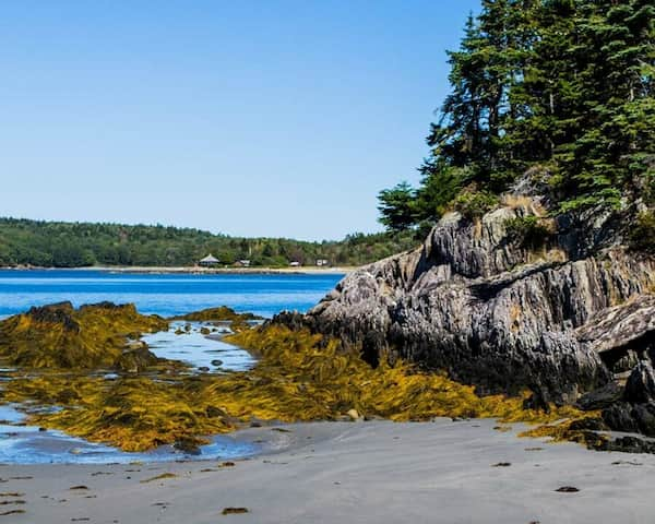 Hermit-Island-Camping-ME 8 Maravillosos Lugares para Acampar en la Playa en Nueva Inglaterra