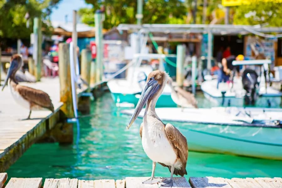 pueblos de playa en Florida Islamorada