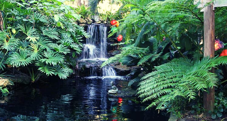 Jardin-Botanico-Marie-Selby Sarasota destino favorito de la Costa del Golfo de Florida