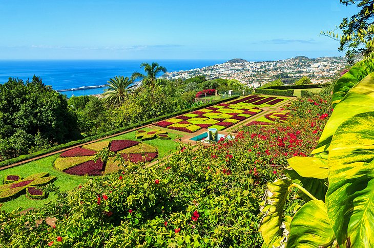 Jardin-Botanico 16 Principales atracciones turísticas de Funchal en Madeira, Portugal