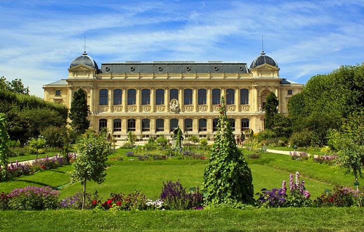 Jardin-des-Plantes-y-Museo-Nacional-de-Historia-Natural 16 Principales atracciones en el Barrio Latino de París