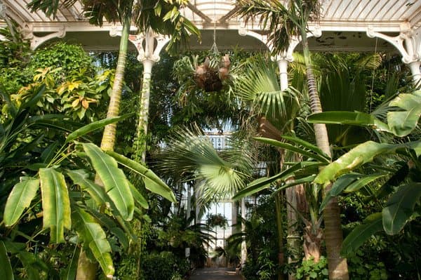 La-casa-de-las-palmeras 8 Cosas imperdibles en los Kew Gardens de Londres