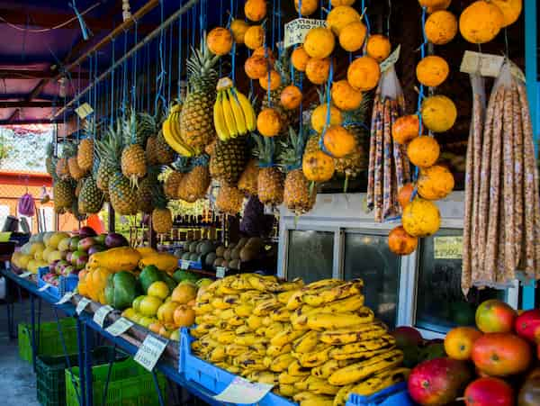 La-comida-1 10 Razones para Visitar Costa Rica en tus Próximas Vacaciones