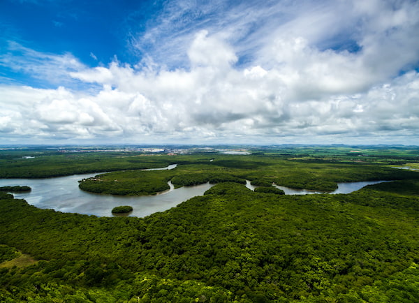 La-cuenca-del-Amazonas-7 Visita estos 7 lugares icónicos en Brasil