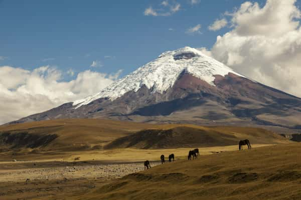 Las-actividades 8 Razones para Elegir Ecuador como Lugar para Jubilarse