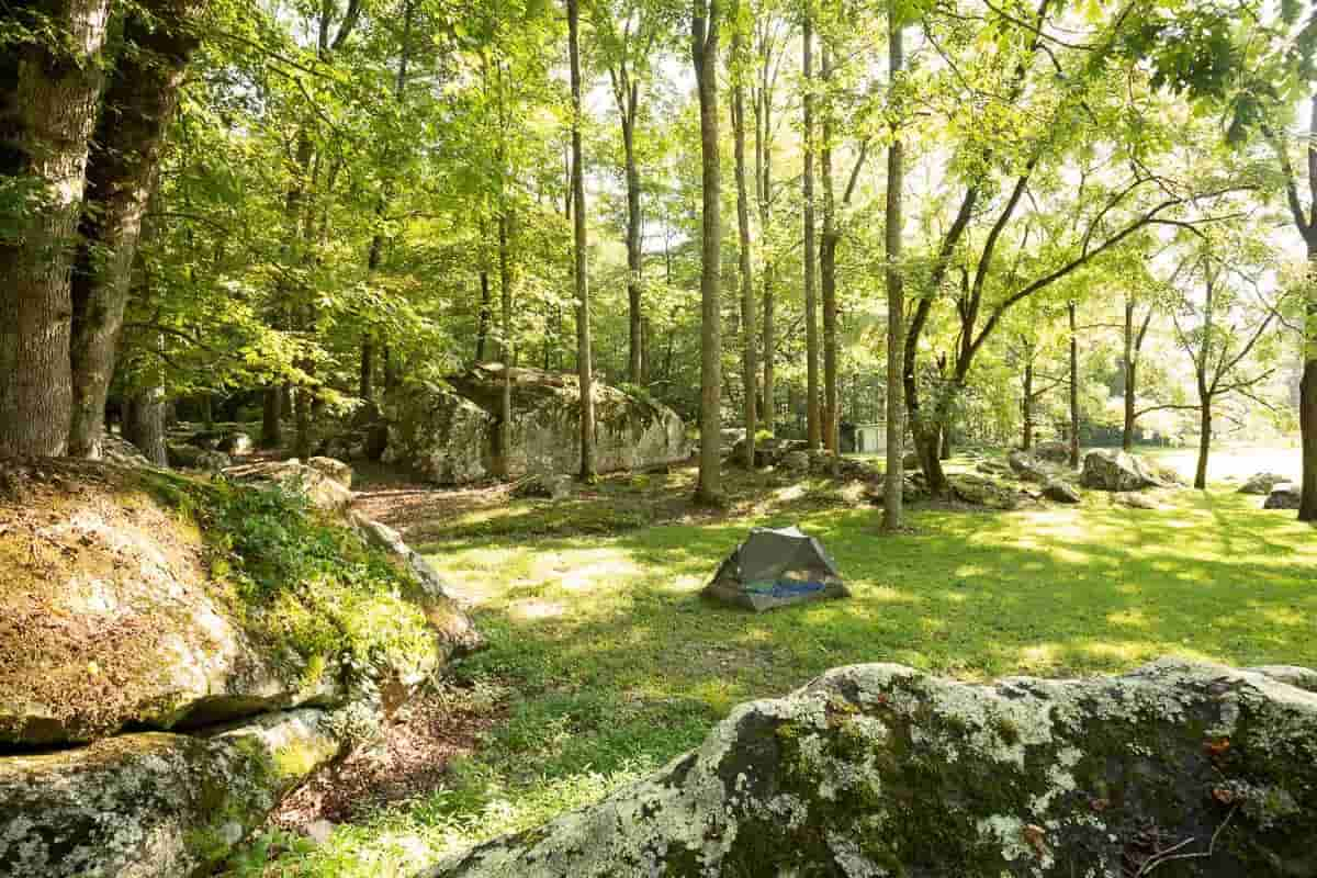 Lugares para Acampar en el Bosque Nacional Nantahala