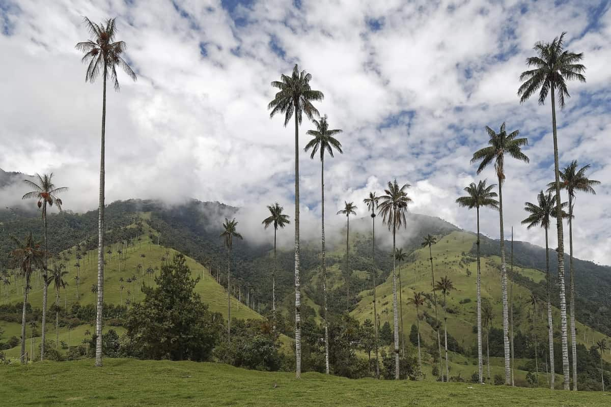 Magníficas Actividades para Hacer en Colombia