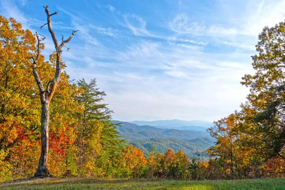 Mejores Lugares para VER los Colores de Otoño en Tennessee