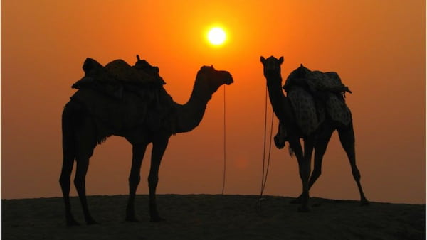 Mira-la-puesta-de-sol-sobre-las-dunas-con-un-safari-nocturno-por-el-desierto-1 Mejores Sitios Nocturnos en Doha para una Velada Mágica en la Ciudad