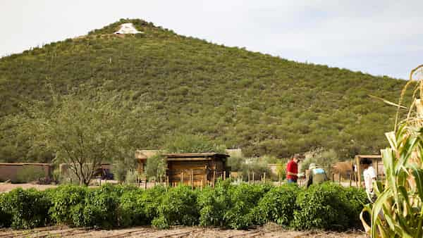 Mission-Valley-Garden-tucson Cómo Pasar un Día en Tucson, Arizona