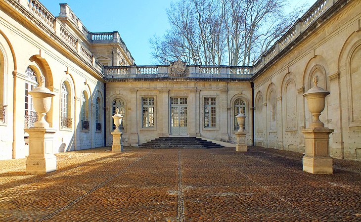 Museo-Calvet 10 Mejores lugares para visitar en Aviñón, Francia