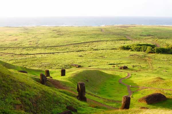 No-hay-suficientes-arboles-en-la-isla Parque Nacional Rapa Nui en la Isla de Pascua: Todo lo que debes Saber