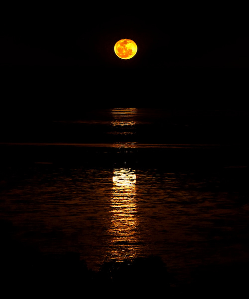 Para-conocer-al-hombre-en-la-luna-3 11 Razones para visitar Broome en Australia