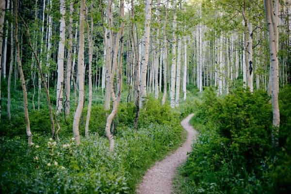 Parque-Estatal-Montana-Wasatch-Acampar-cerca-de-Park-City 9 Espectaculares Lugares para Acampar cerca de Park City, Utah