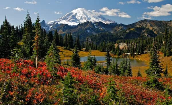 Parque-Nacional-Monte-Rainier-Washington 70 Mejores Lugares para Visitar en Octubre en EE.UU.