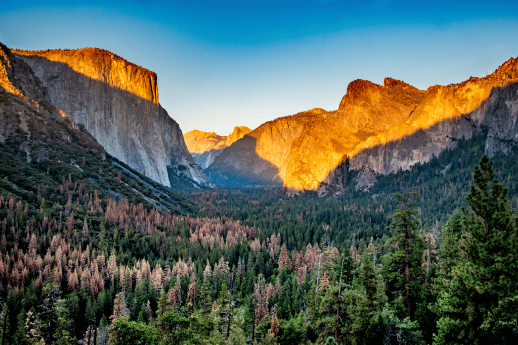 Parque-Nacional-Yosemite-turismo-paseo-1024x683 20 Lugares icónicos de Estados Unidos para visitar