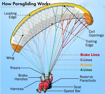 Partes-del-parapente Cómo funciona el parapente