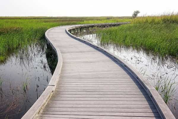 Pasarela-de-humedales-en-el-Refugio-Nacional-de-Vida-Silvestre-Sabine-1 Viaje por Carretera de Houston a Nueva Orleans