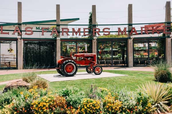 Pasea-por-el-mercado-de-agricultores-de-Dallas-1 15 Cosas Gratis para Hacer en Dallas, Texas