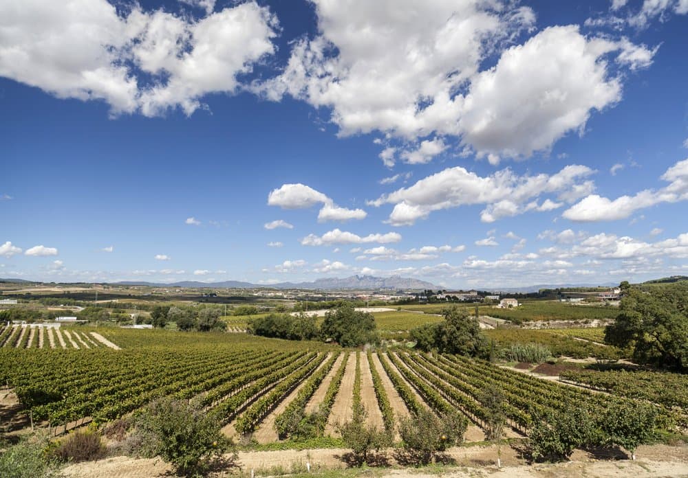 Penedes Las mejores excursiones para hacer cerca a Barcelona, ​​España