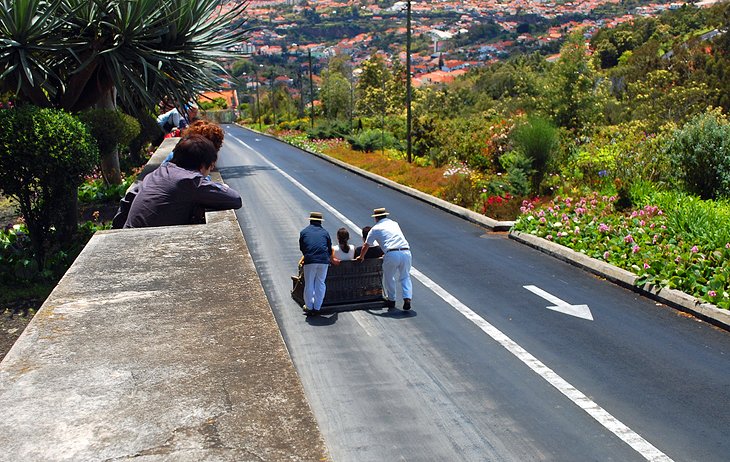 Pista-de-trineo-Monte 16 Principales atracciones turísticas de Funchal en Madeira, Portugal